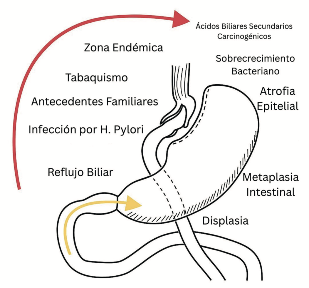 Imagen de portada